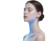 2025 مرحلة التطوير الجديدة